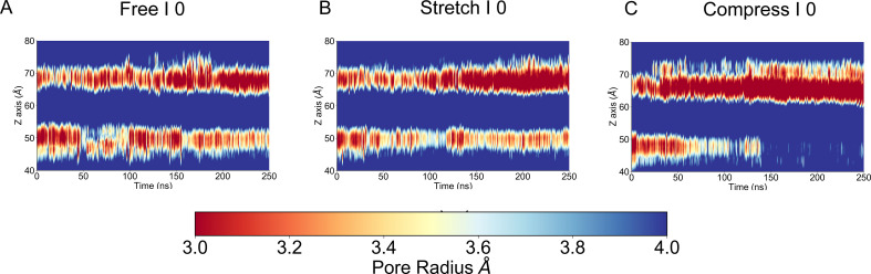 Figure 1—figure supplement 3.