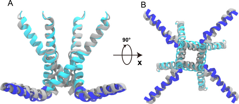 Figure 2—figure supplement 3.