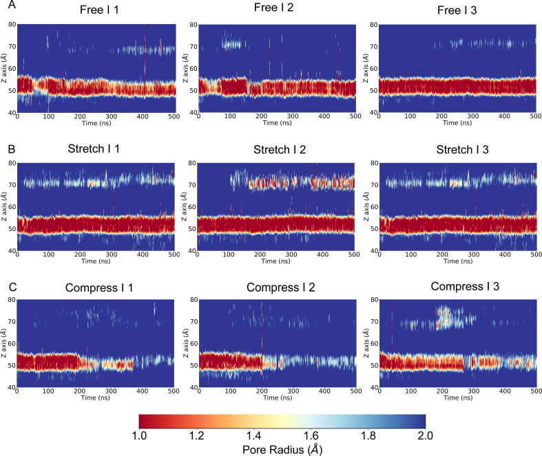 Figure 1—figure supplement 2.