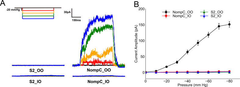 Figure 1—figure supplement 9.