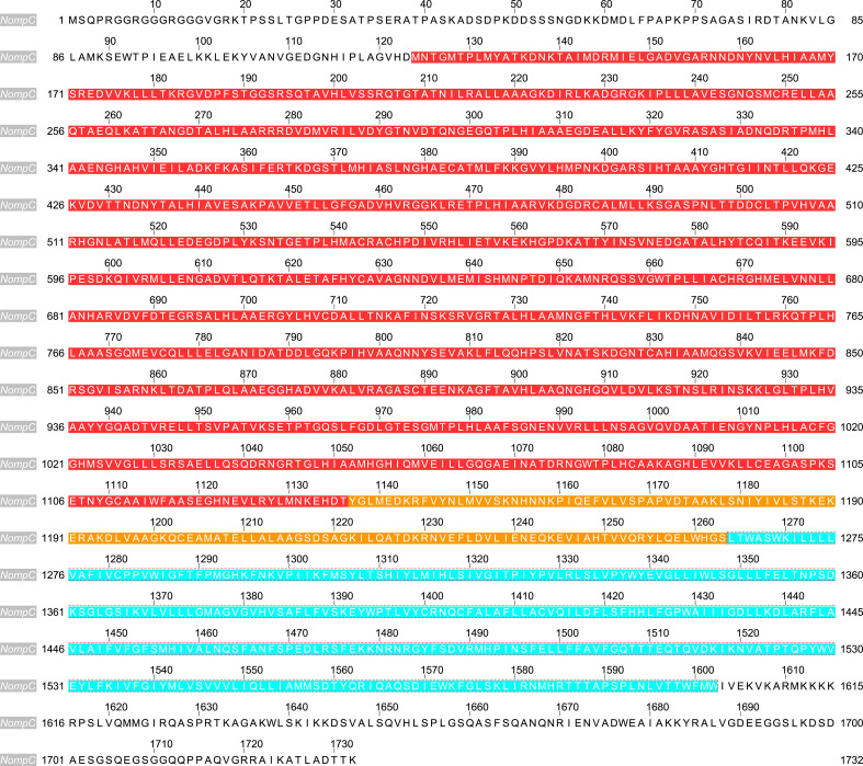 Figure 1—figure supplement 1.