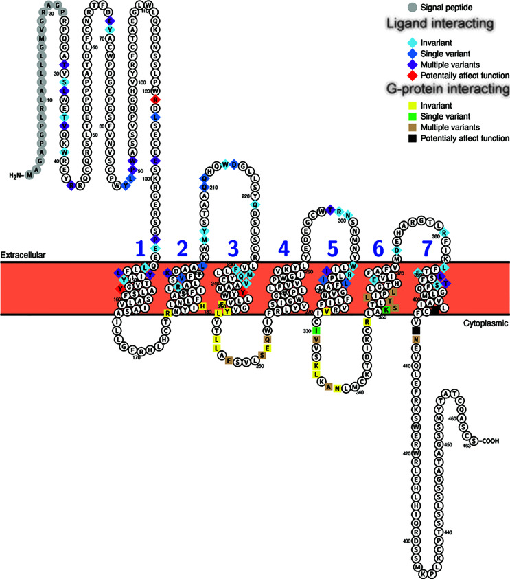 Figure 4