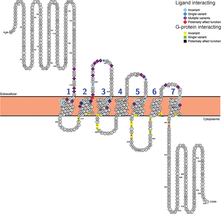 Figure 5