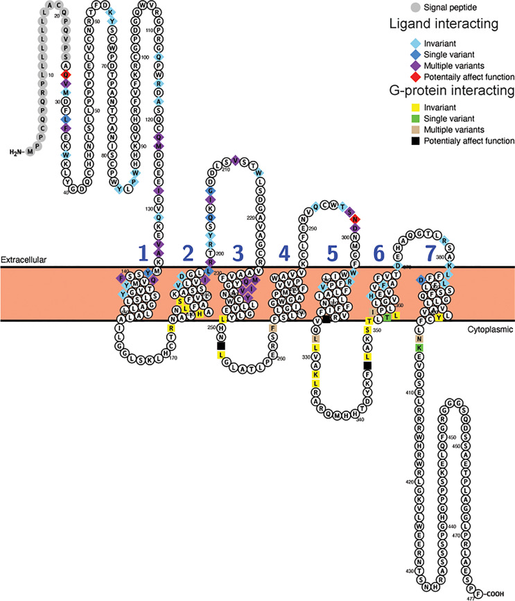 Figure 3