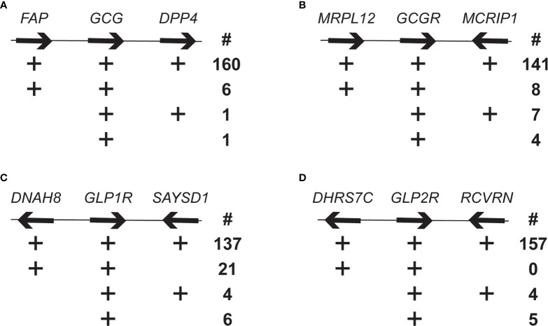 Figure 1