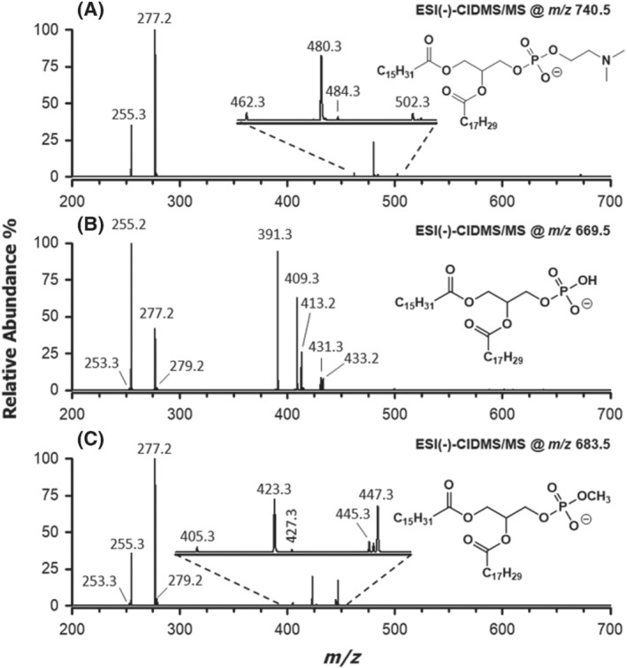 FIGURE 3