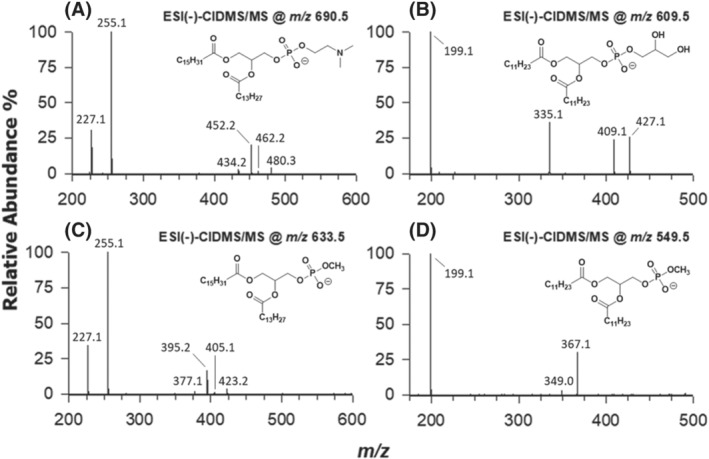 FIGURE 5