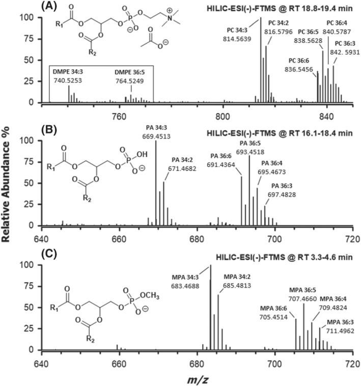 FIGURE 2