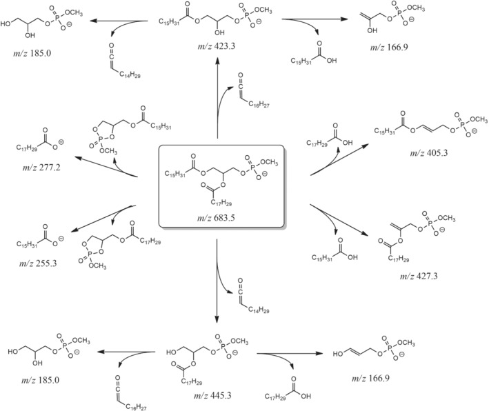 SCHEME 2