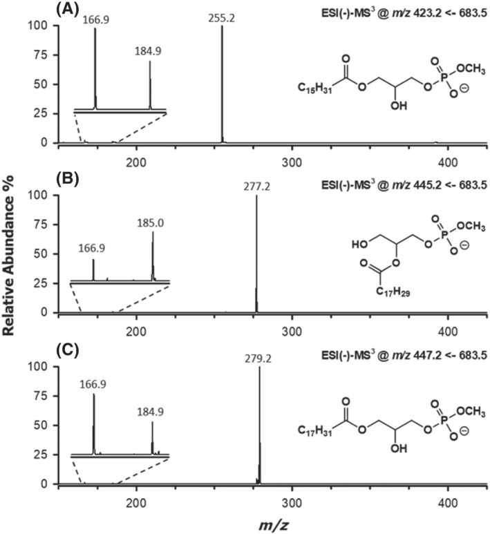 FIGURE 4