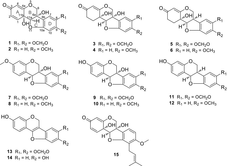 Fig. 1