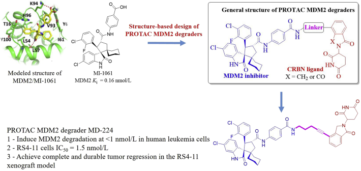 Figure 24