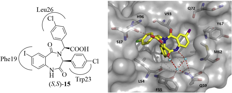 Figure 11