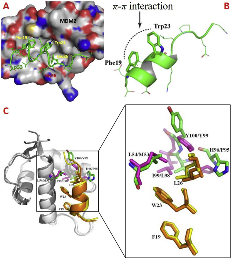 Figure 1