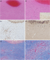 Fig. 10