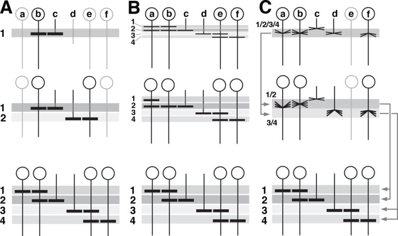 Figure 13