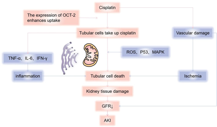 Figure 1