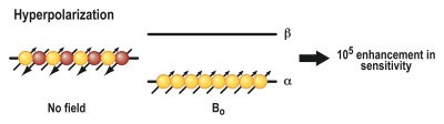 Figure 5b: