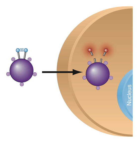 Figure 4a: