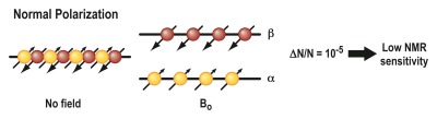 Figure 5a: