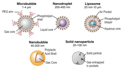 Figure 7: