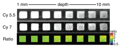 Figure 4c: