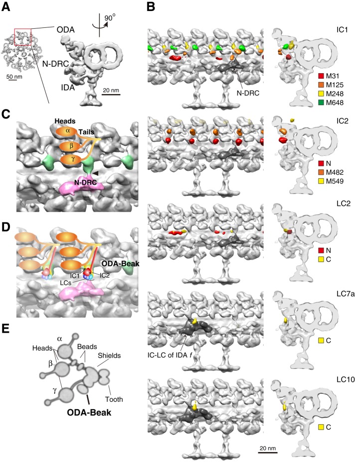 FIGURE 2: