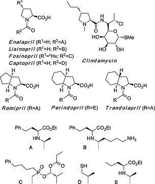 Scheme 16