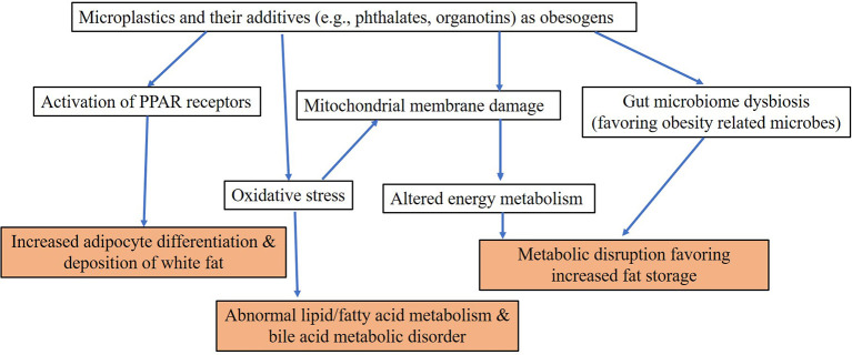 Figure 3