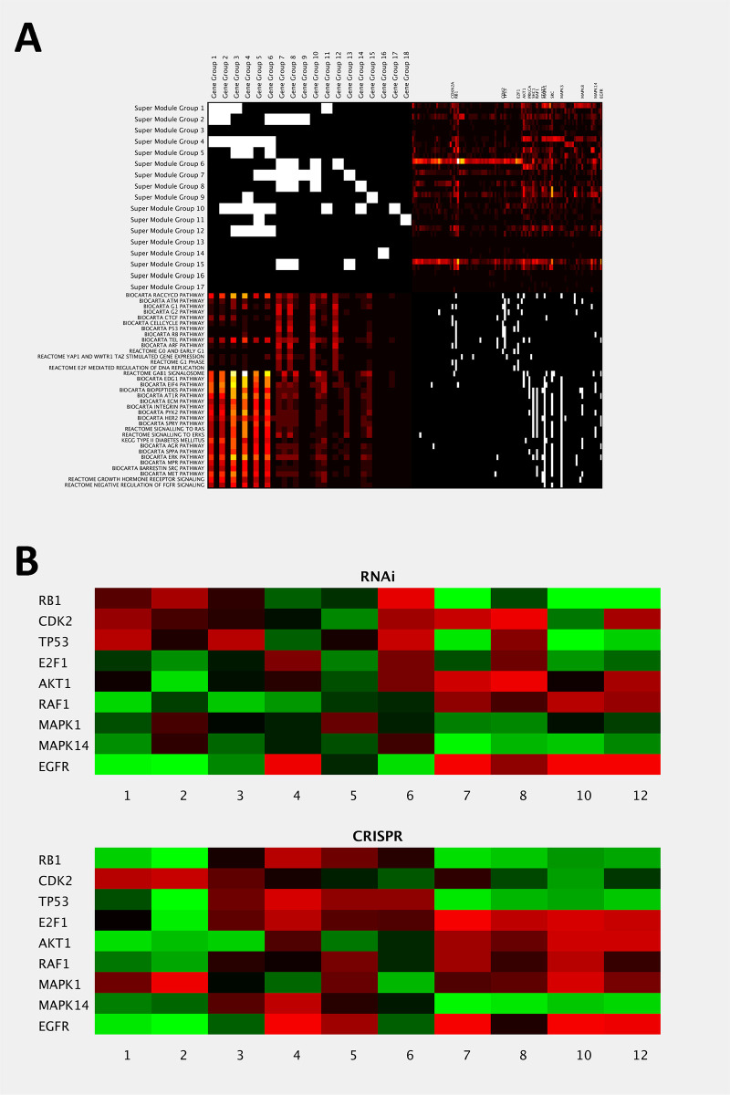 Fig 6