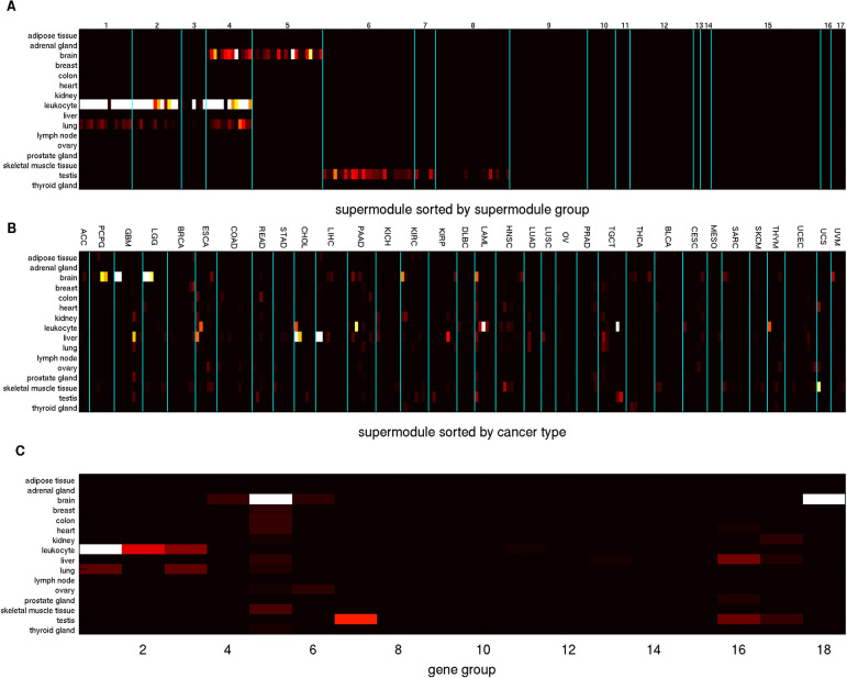 Fig 10