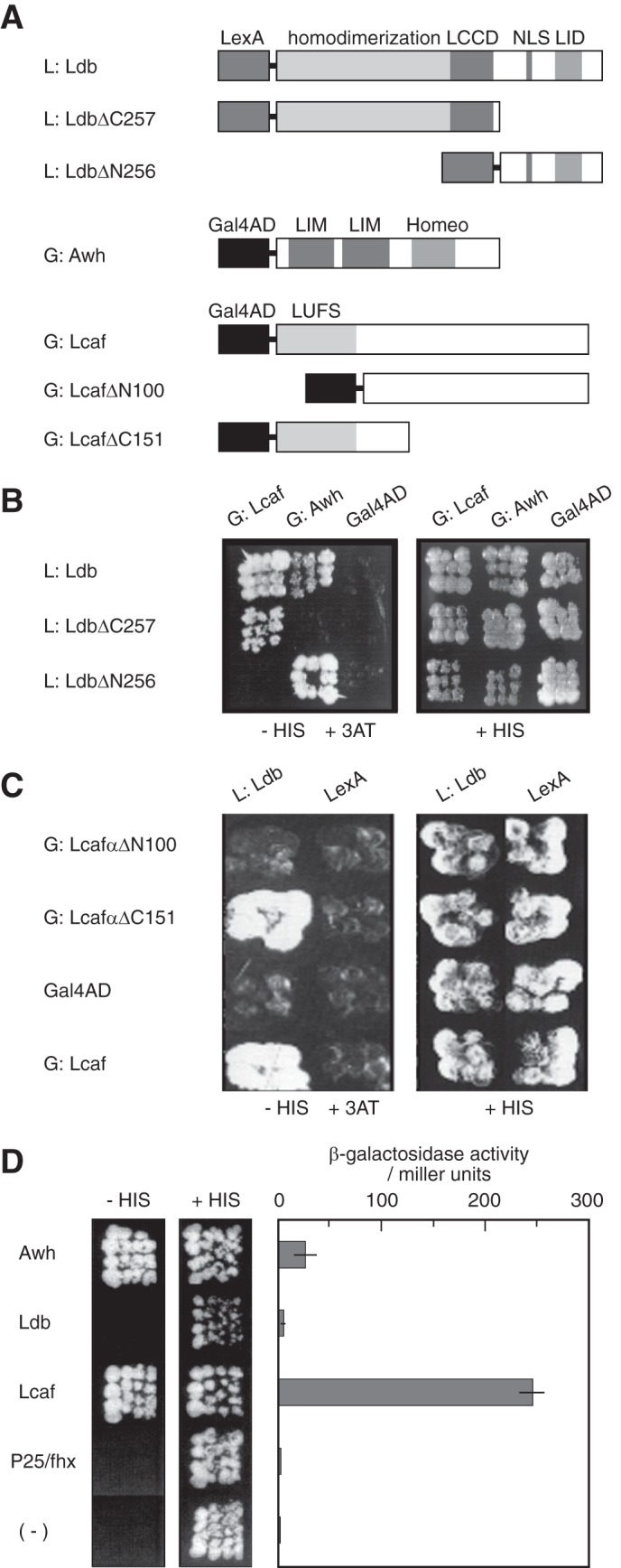 FIGURE 7.