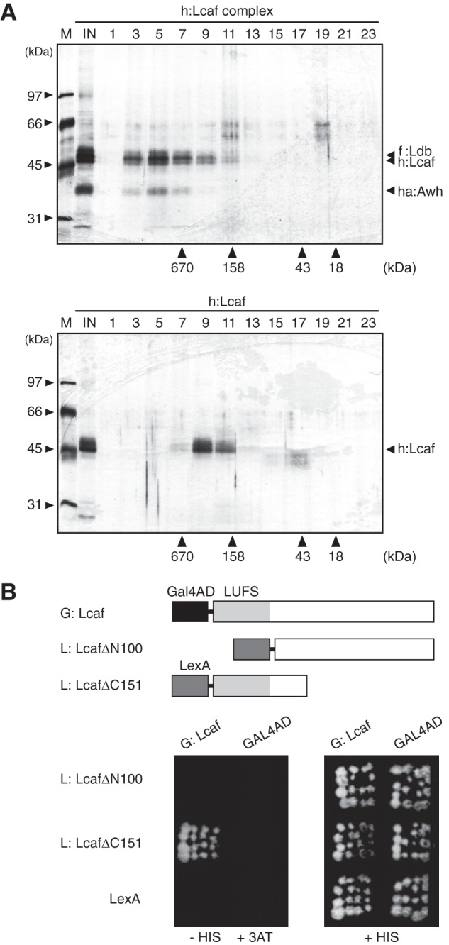 FIGURE 6.