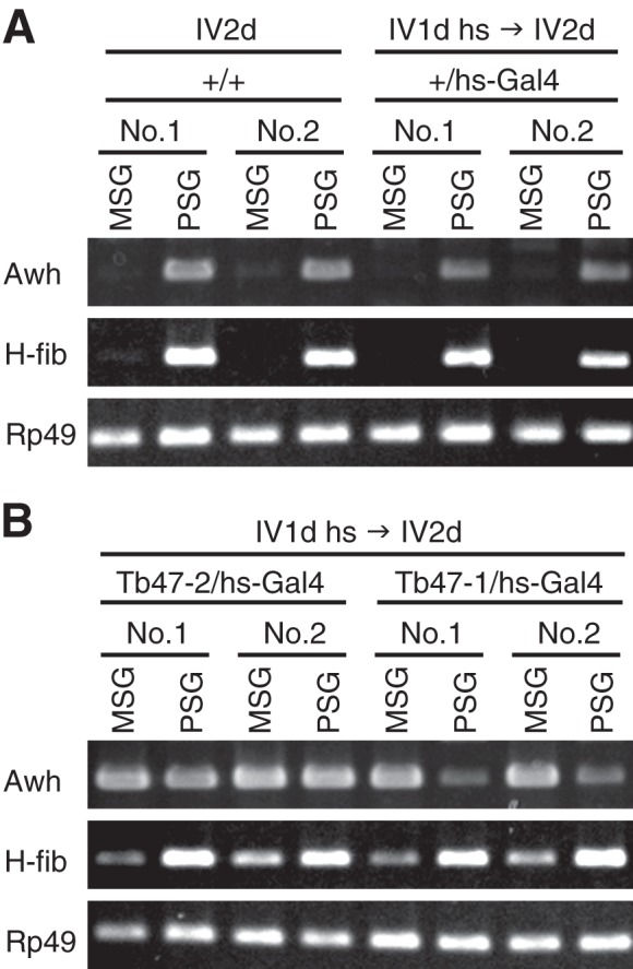 FIGURE 5.