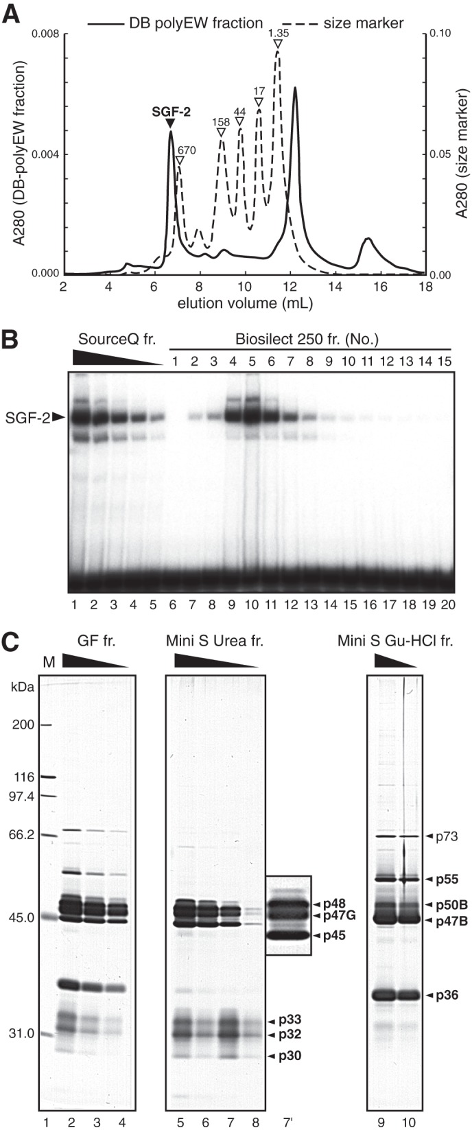 FIGURE 2.