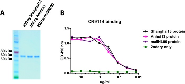 FIG 5