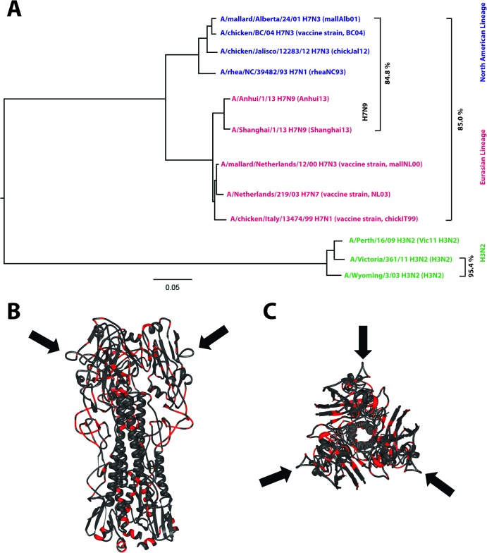 FIG 1