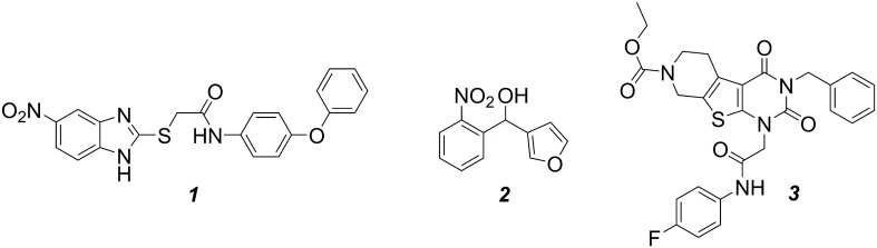 FIGURE 2