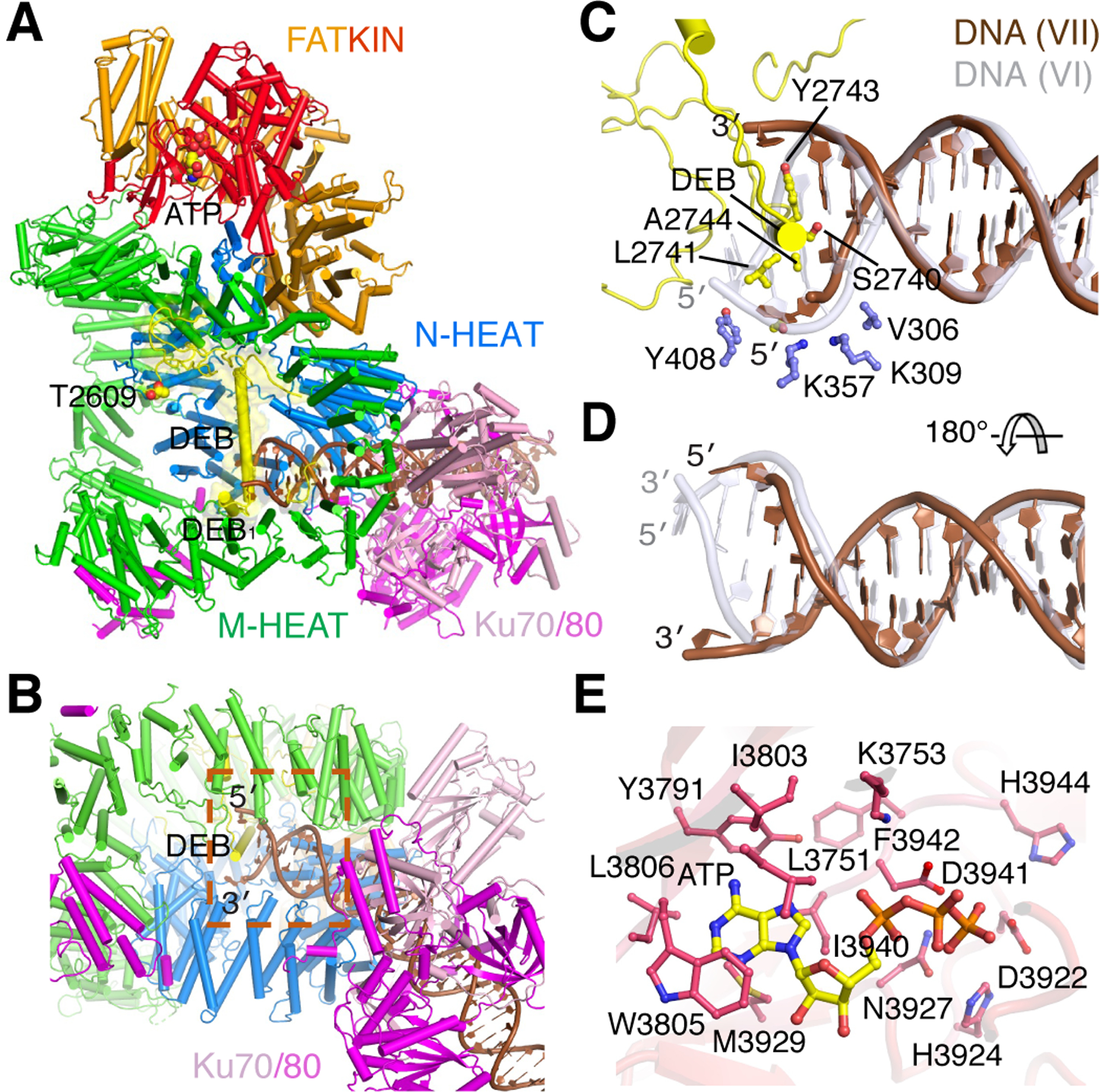 Figure 4.