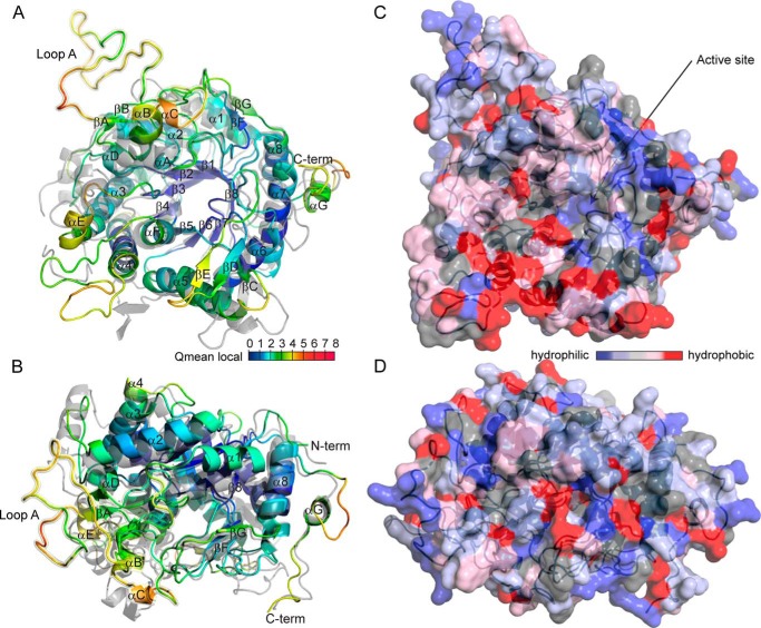 FIGURE 3.