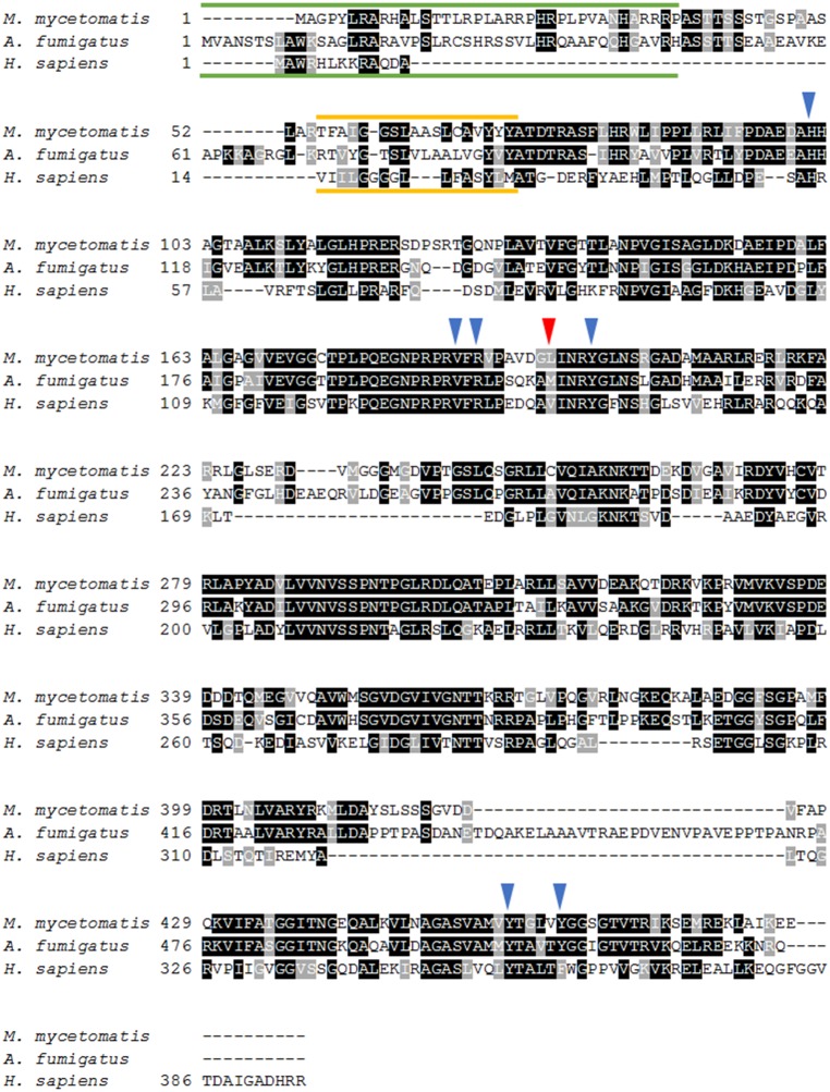 Figure 1.