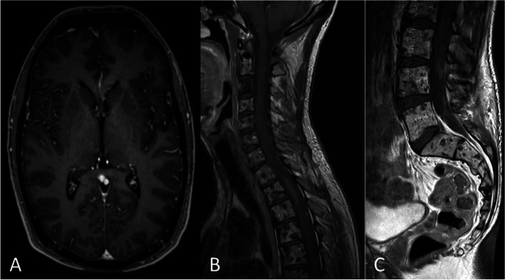 Fig. 6