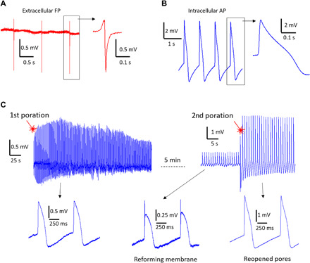 Fig. 3