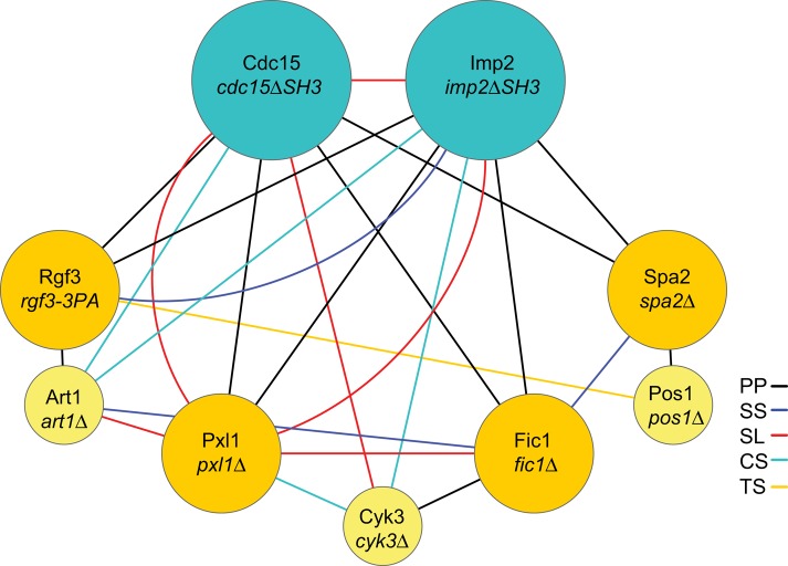 FIGURE 10: