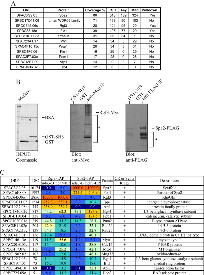 FIGURE 2: