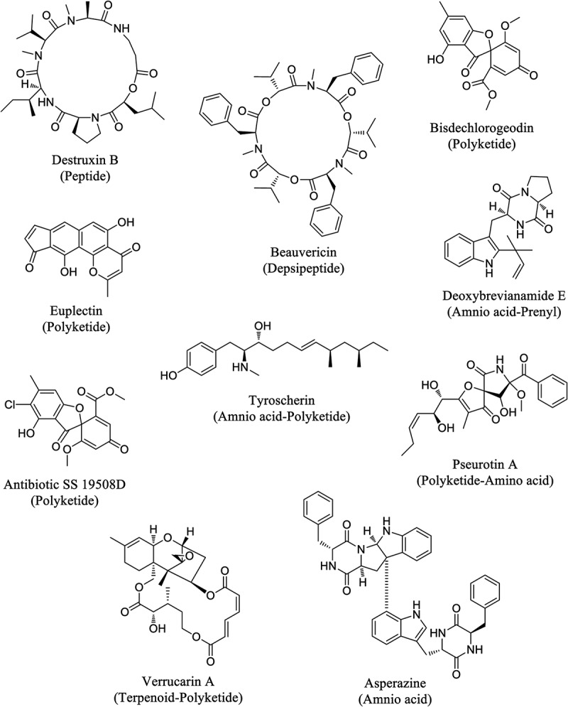 Figure 1.