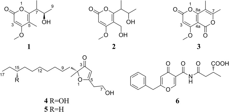 Figure 2.