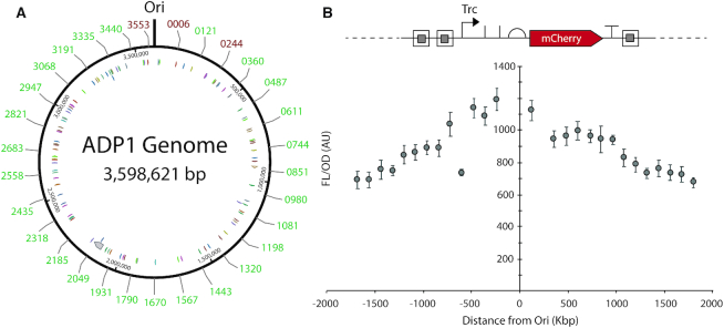 Figure 3.