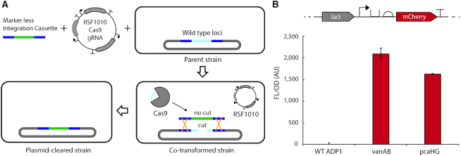 Figure 5.