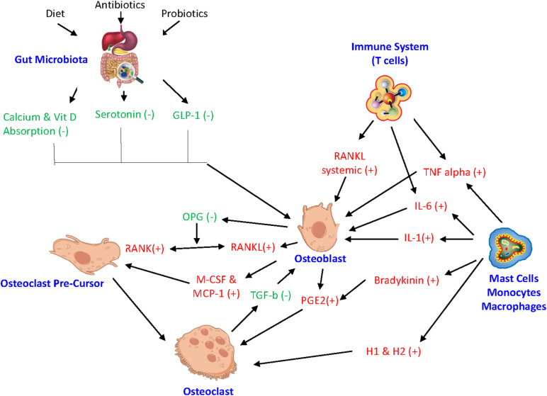 FIGURE 2